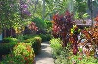 The garden of the Hotel PALOCOCO - Las Terrenas - Dominican Republic